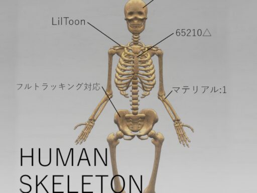 Skeleton