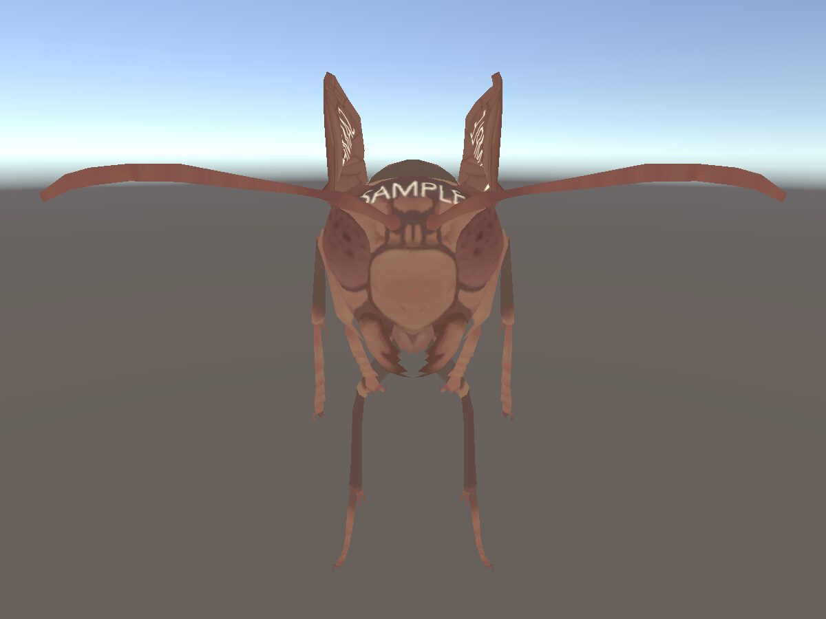 Polistes jokahamae sample