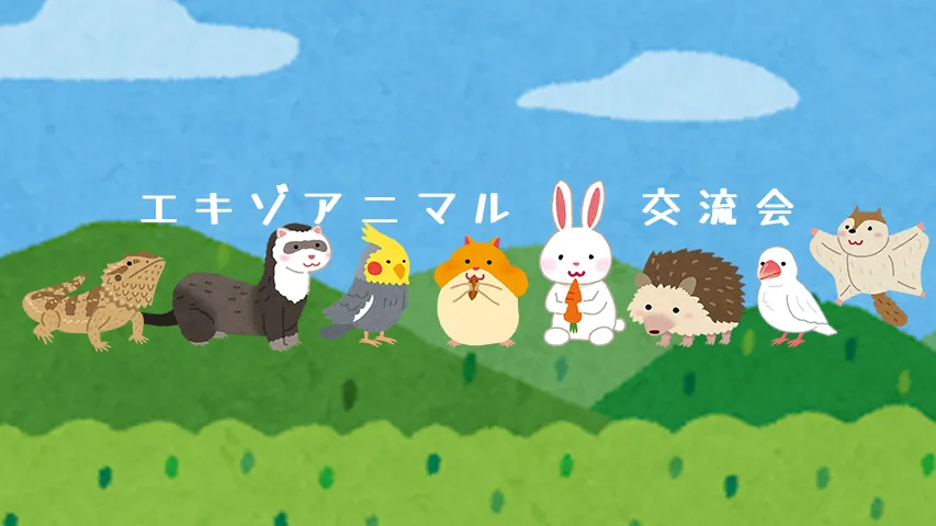 エキゾアニマル交流会