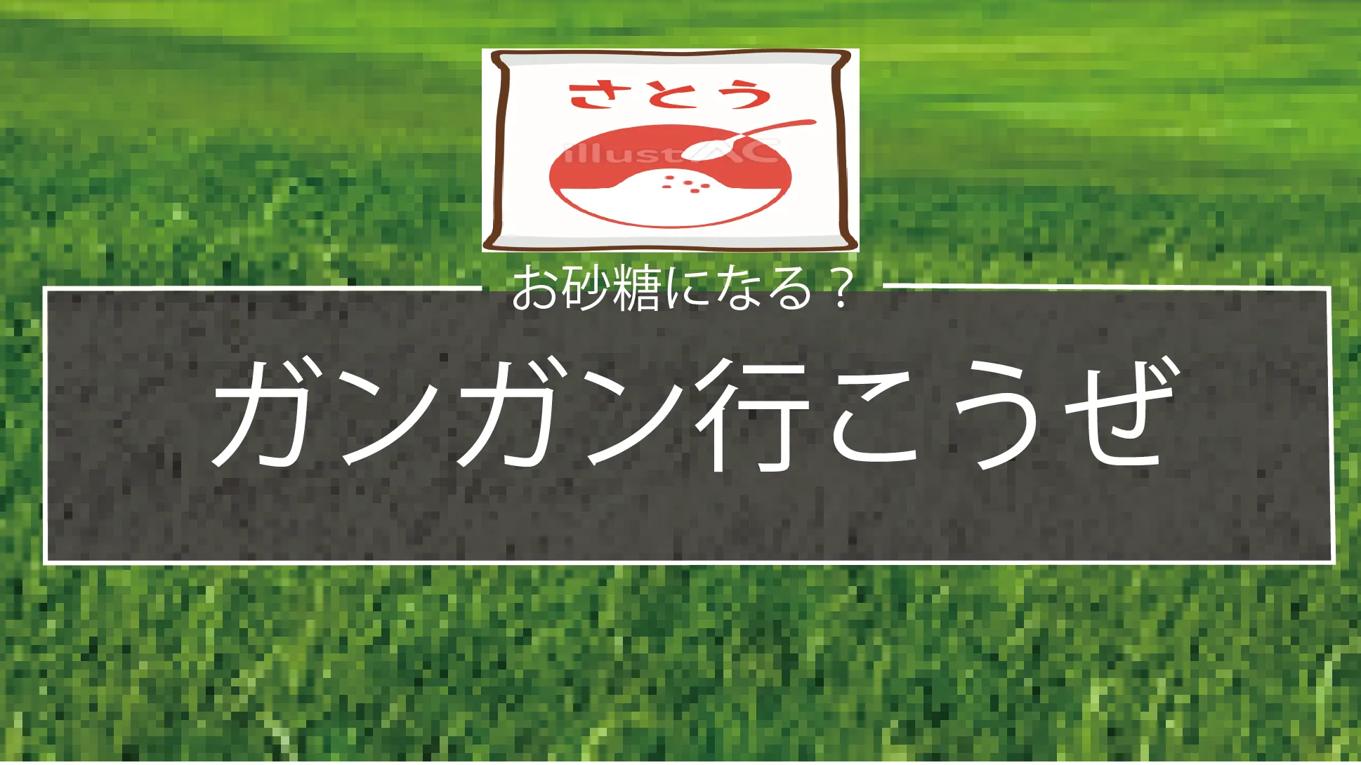 お砂糖ほしい