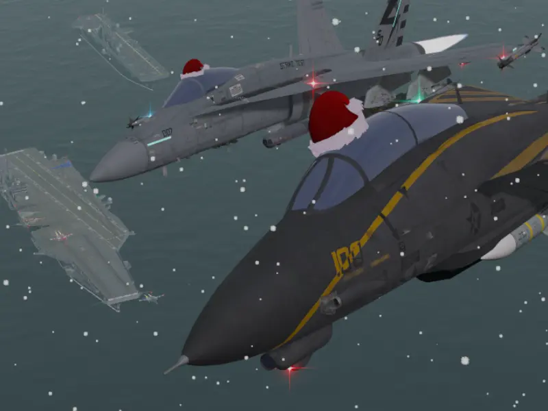 Aircraft Carrier Jets˸ F-14 ［Winter］