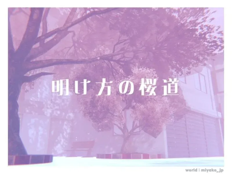 明け方の桜道 – Sakura Road at dawn