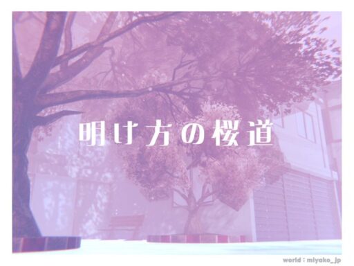 明け方の桜道 – Sakura Road at dawn