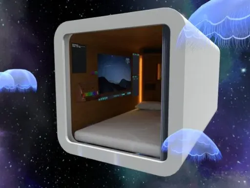 Capsule hotel in space