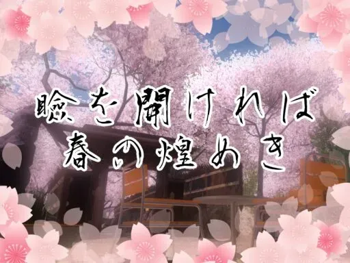 瞼を開ければ春の煌めき
