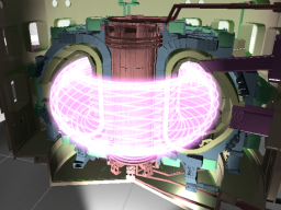VFN_Full scale Tokamak fusion reactor