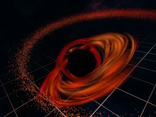 Black Hole Particle Toy