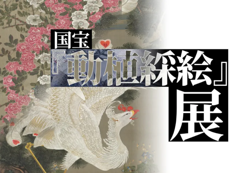 国宝『動植綵絵』展 ⁄ Japanese National Treasure ＂Pictures of the Colorful Realm of Living Beings＂ gallery