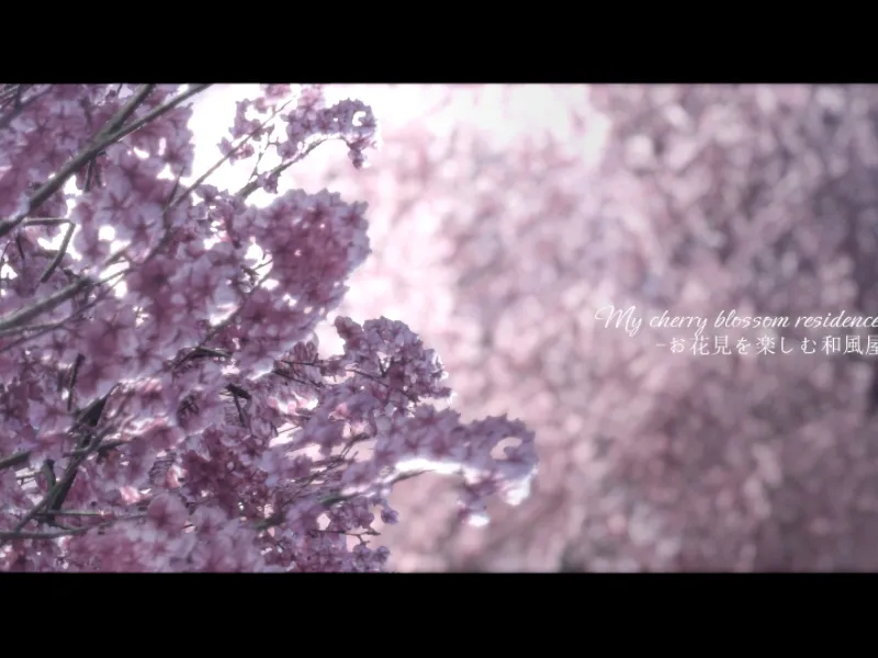 my Cherry blossom Residence – お花見を楽しむ和風屋敷 –