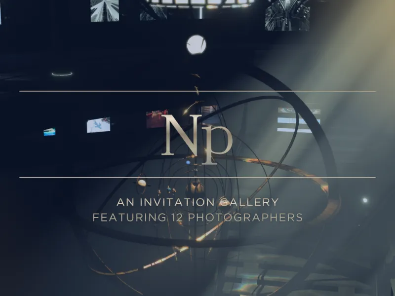 合同ギャラリー：Np