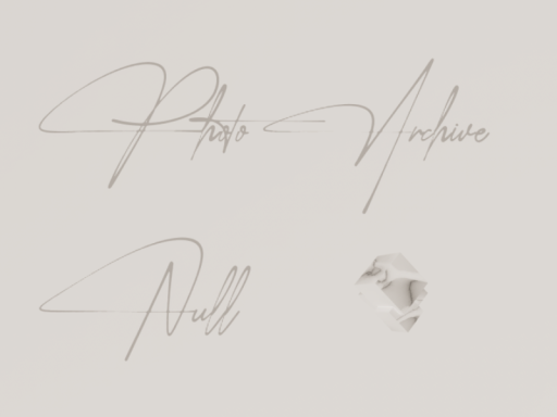 Photo Archive Null_