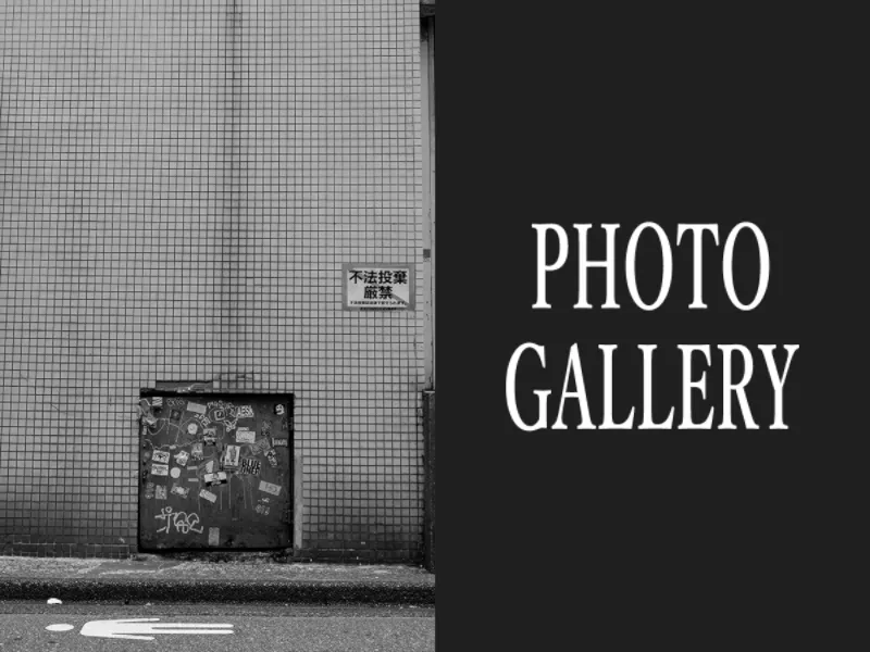 PHOTO GALLERY