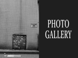 PHOTO GALLERY