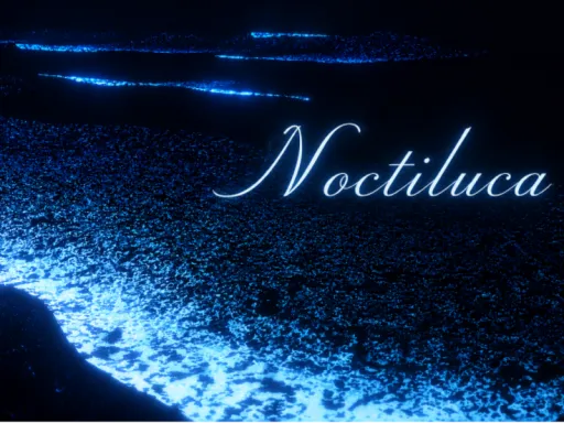 Noctiluca