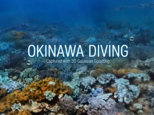 Okinawa Diving