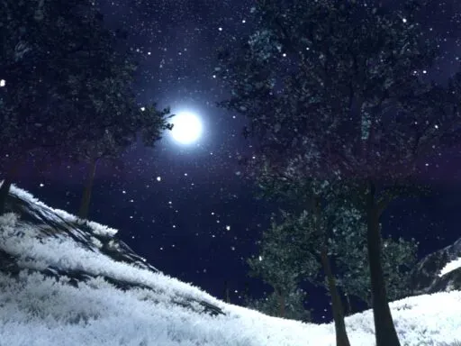 Snowy Snowfield ~ Frozen Emptiness